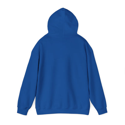 DDR Hoodie